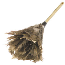 45743 20 OSTRICH FEATHER
DUSTER 12/CS