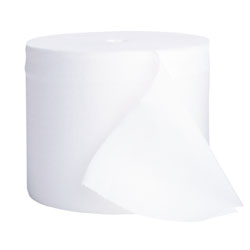 04007 SCOTT CORELESS STANDARD
TOILET TISSUE/PAPER 36RLS/CS
1000 SHEETS PER ROLL 
MEETS OR EXCEED EPA
GUIDELINES MIN 20% POST
CONSUMER WASTE